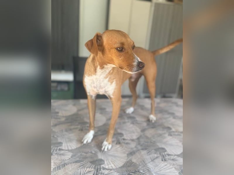 Rafa, ein leiser Freund mit großem Herzen