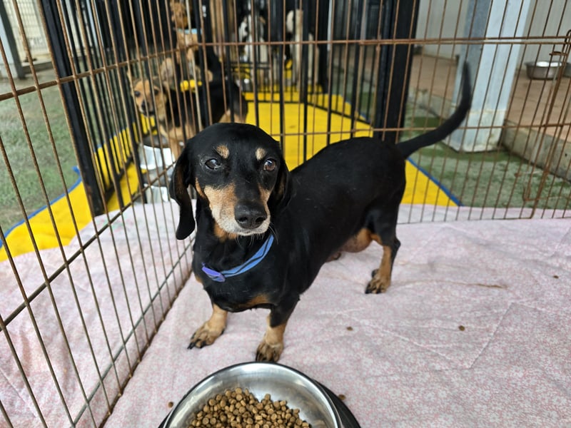 Giuli: sie muss man lieb haben