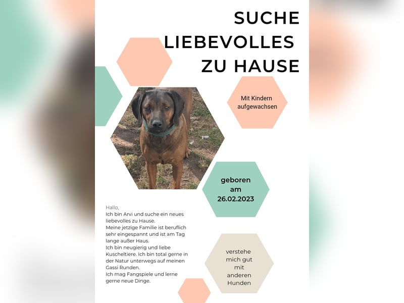 Lieblingsmenschen für Arvi gesucht!