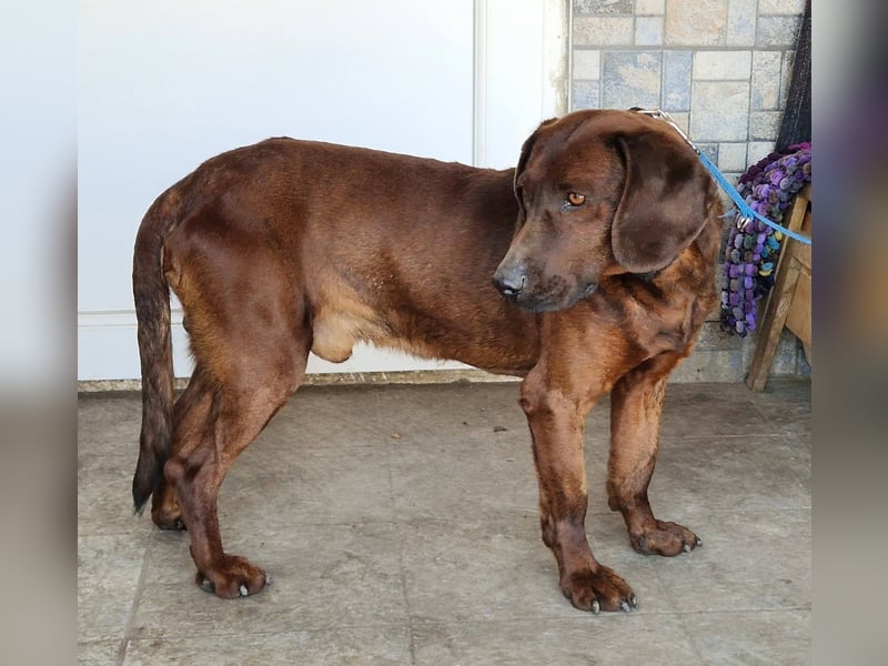 Gentleman Mexi ist bereit für seine Familie