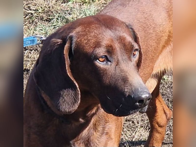 Gentleman Mexi ist bereit für seine Familie