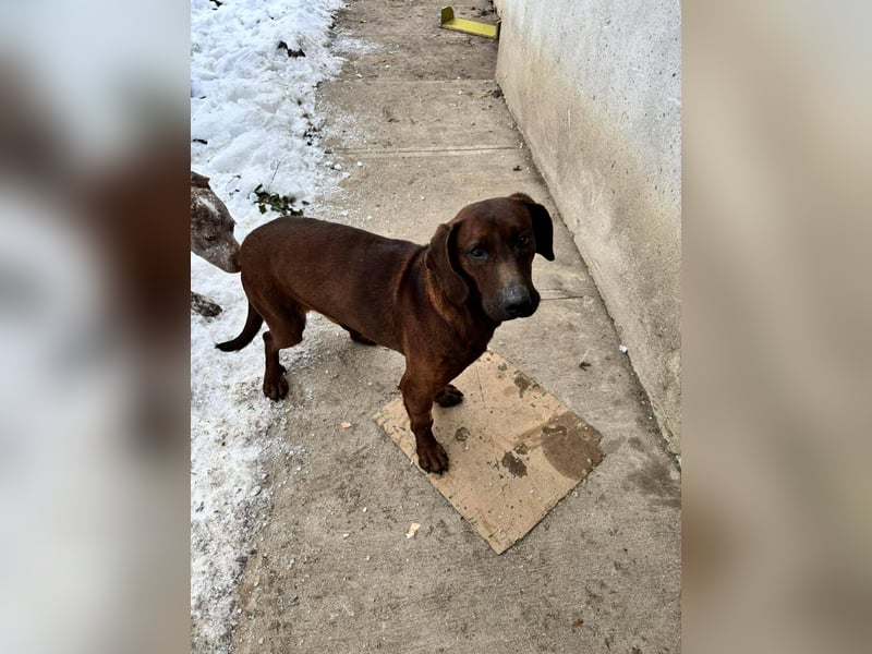 Gentleman Mexi ist bereit für seine Familie