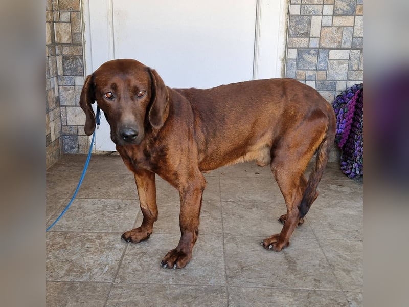 Gentleman Mexi ist bereit für seine Familie