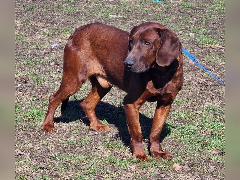 Gentleman Mexi ist bereit für seine Familie