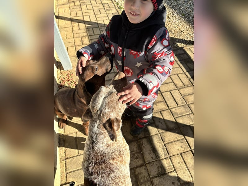 Gentleman Mexi ist bereit für seine Familie