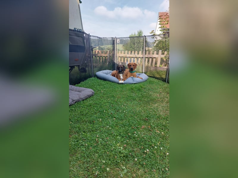 Liebenswerter Kerl