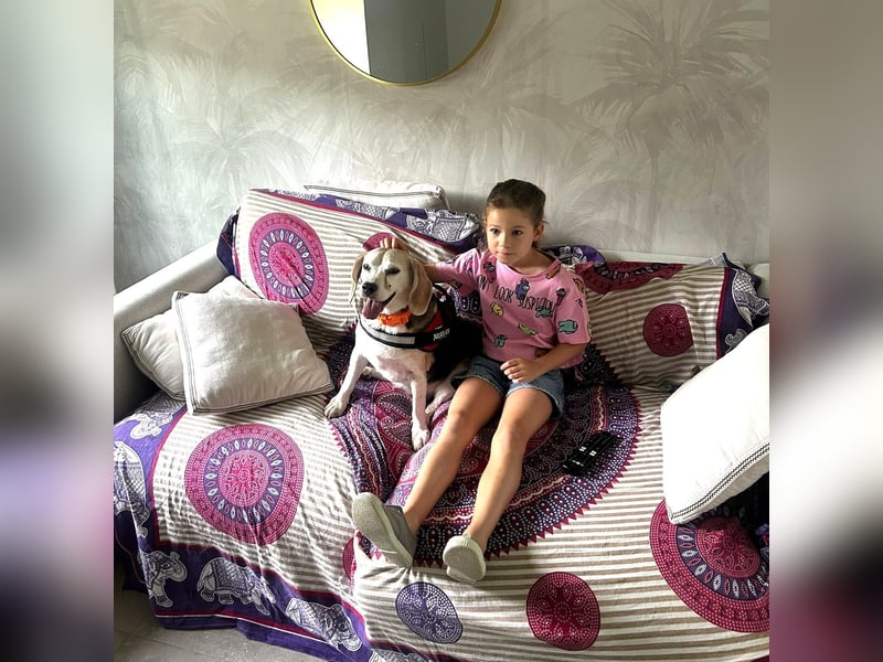 Trasto - Beagle Senior sucht lebensfrohe Familie Trasto - Beagle Senior sucht lebensfrohe Familie