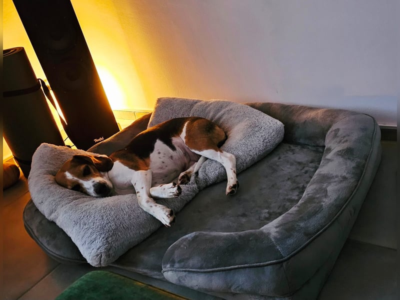 Karamell: wo soll ich denn hin? Notfall!