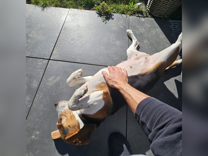 Karamell: wo soll ich denn hin? Notfall!