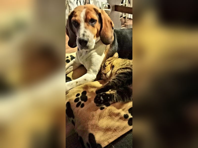 Karamell: wo soll ich denn hin? Notfall!