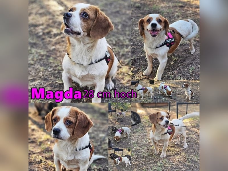 Magda ist eine Frohnatur