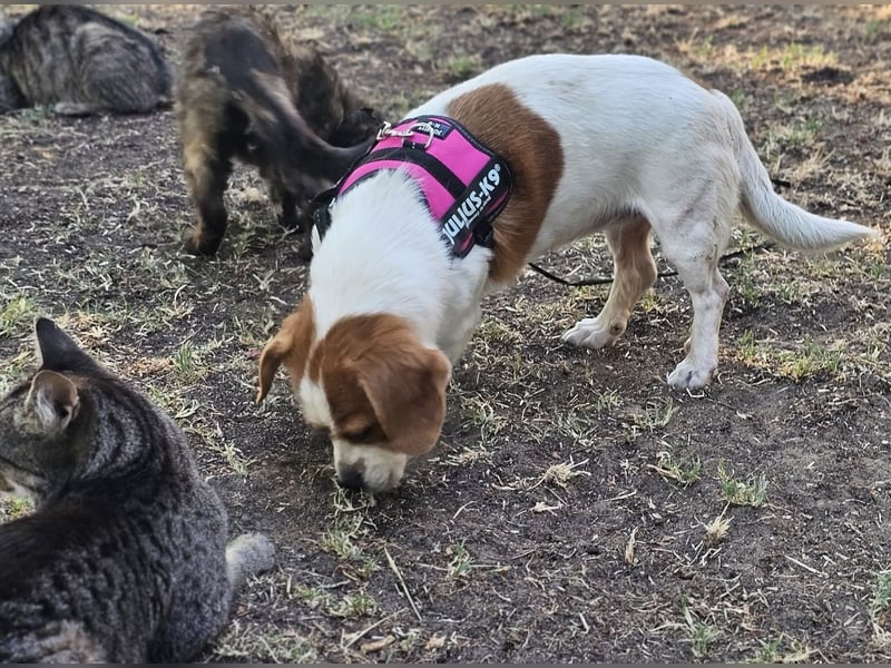 Magda ist eine Frohnatur