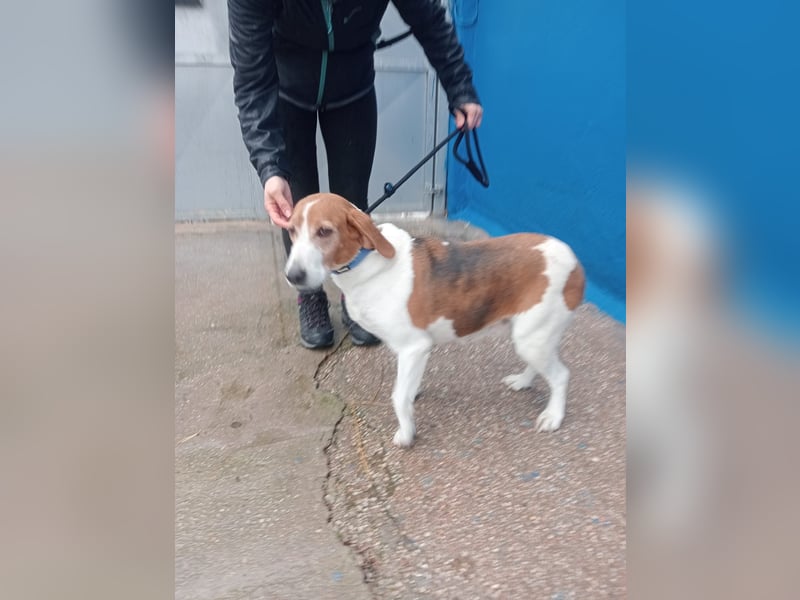 Linda, ein liebes ruhiges Mädchen