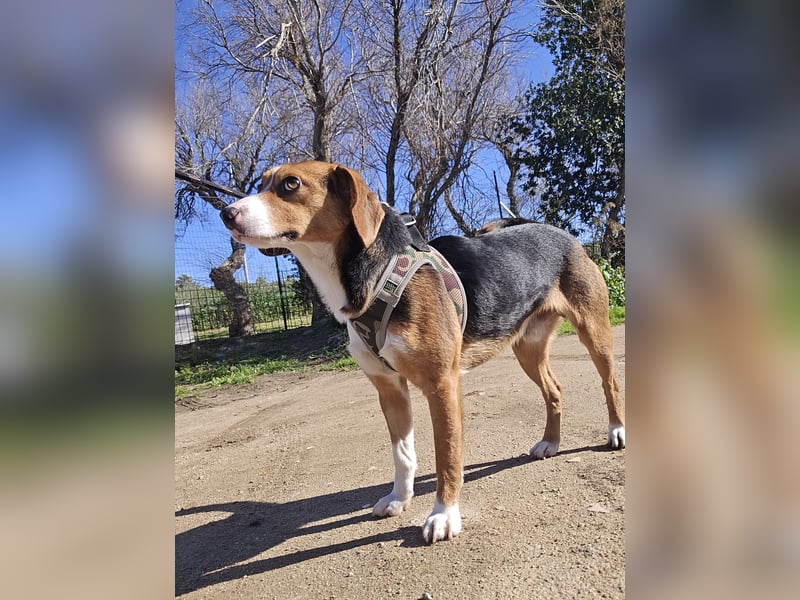 Macchia: ideal für die Familie