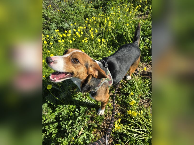 Macchia: ideal für die Familie