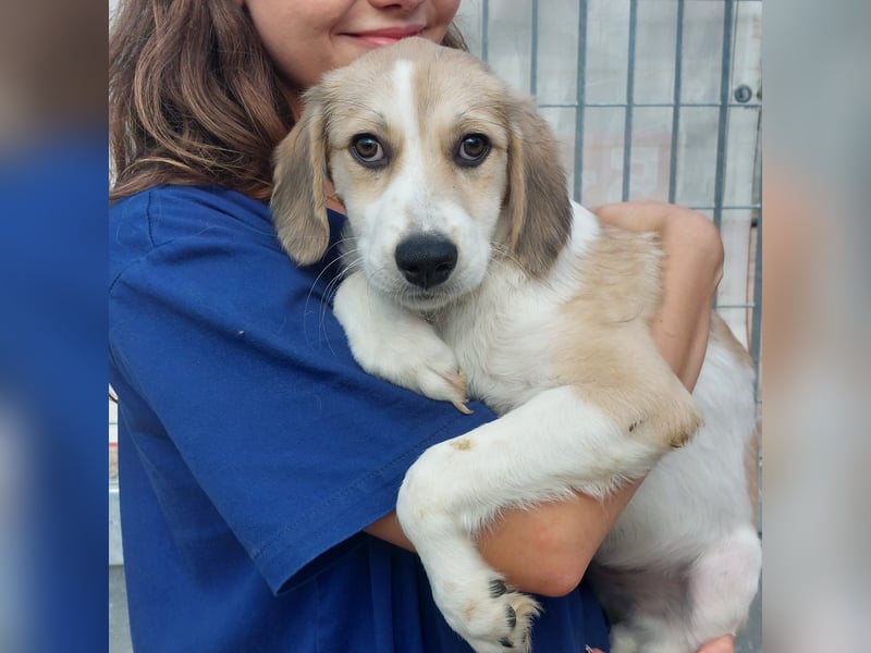 Buffy: ein Schatz für "Überall mit dabei" Buffy: ein Schatz für "Überall mit dabei"