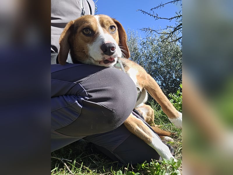 Macchia: Papa mit Herz