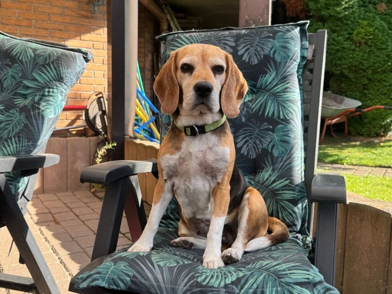 Paula: auf PS in Solingen