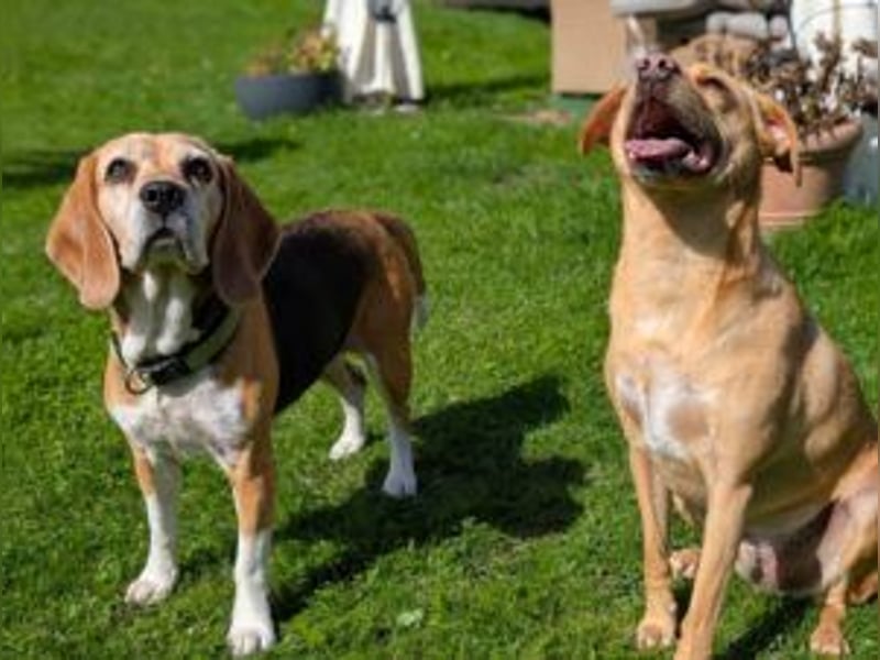 Paula: auf PS in Solingen