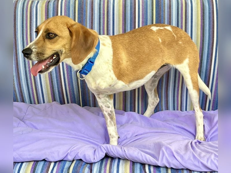 Lolaq / Bonny, offen, freundlich und verschmust / bereits in Deutschland