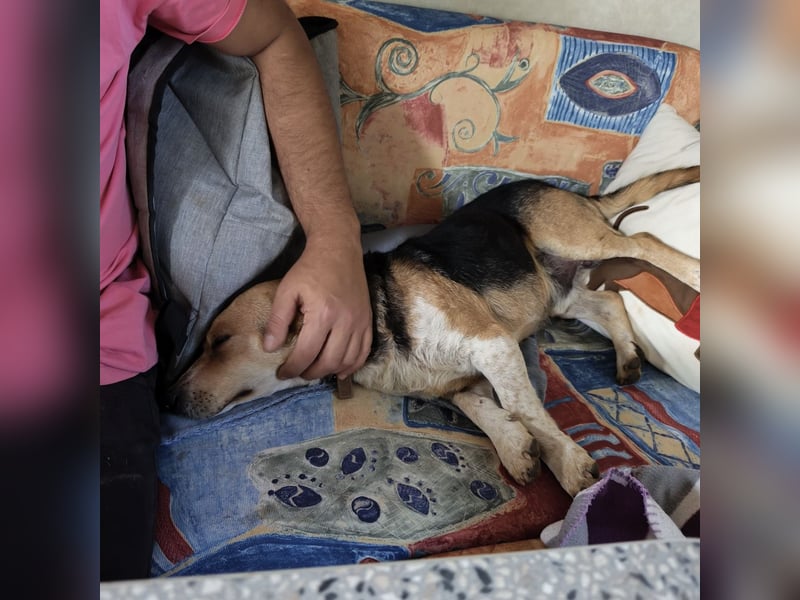 Mushashi ein richtig verschmuster Kerlchen