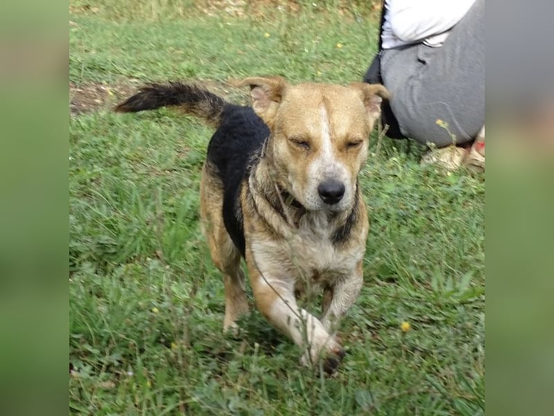 Mushashi ein richtig verschmuster Kerlchen