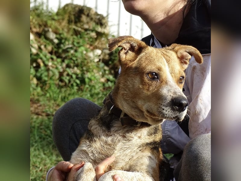 Mushashi ein richtig verschmuster Kerlchen