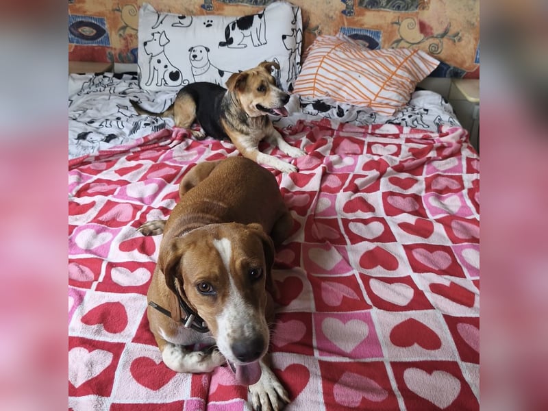 Mushashi ein richtig verschmuster Kerlchen