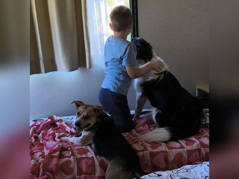 Mushashi ein richtig verschmuster Kerlchen