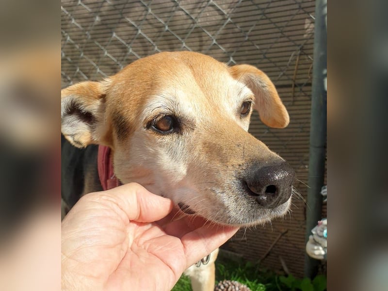 WILMA – sanfte Seele