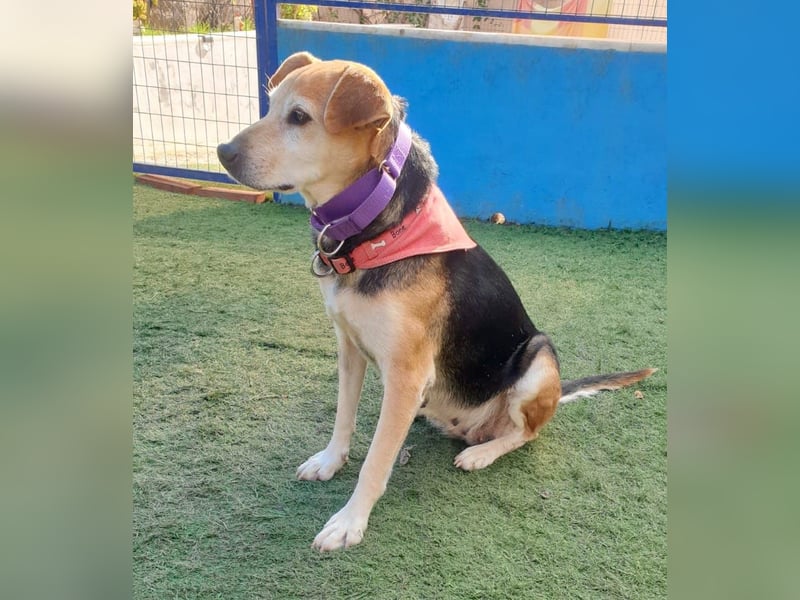 WILMA – sanfte Seele