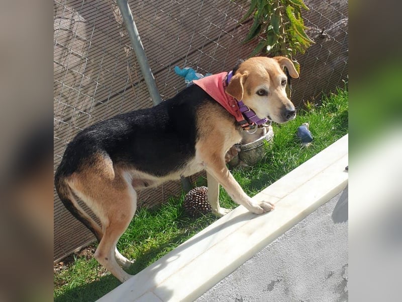 WILMA – sanfte Seele