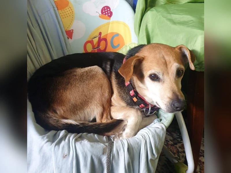 WILMA – sanfte Seele