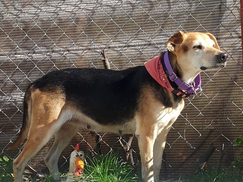 WILMA – sanfte Seele