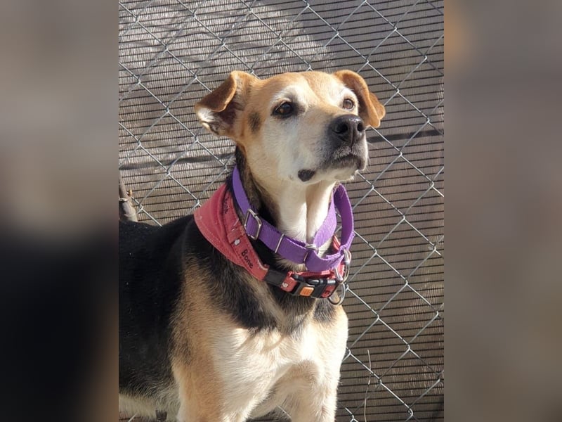 WILMA – sanfte Seele