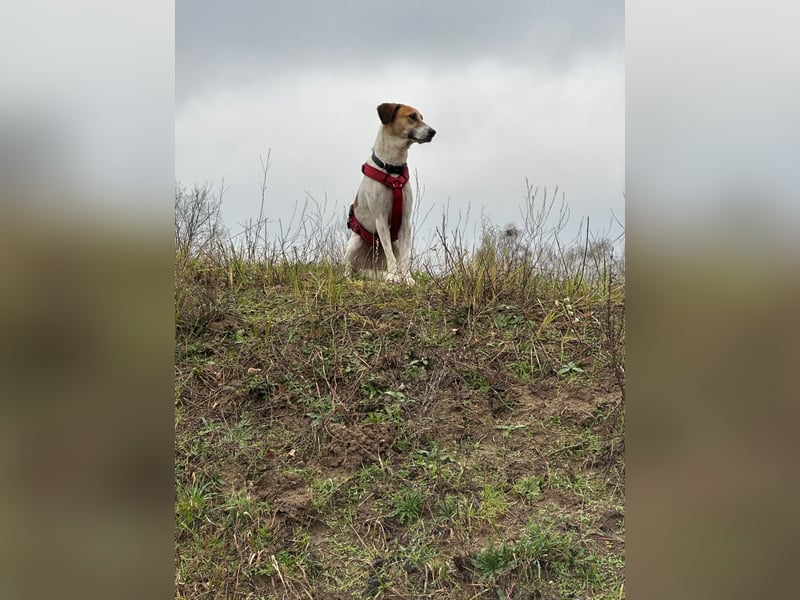 Donna - sportliche Familie gesucht