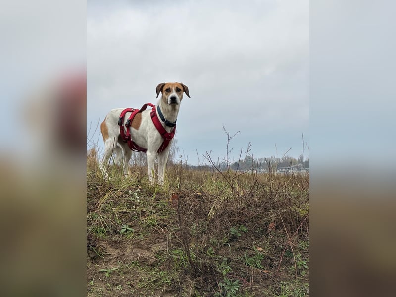 Donna - sportliche Familie gesucht