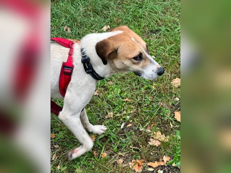 Donna - sportliche Familie gesucht