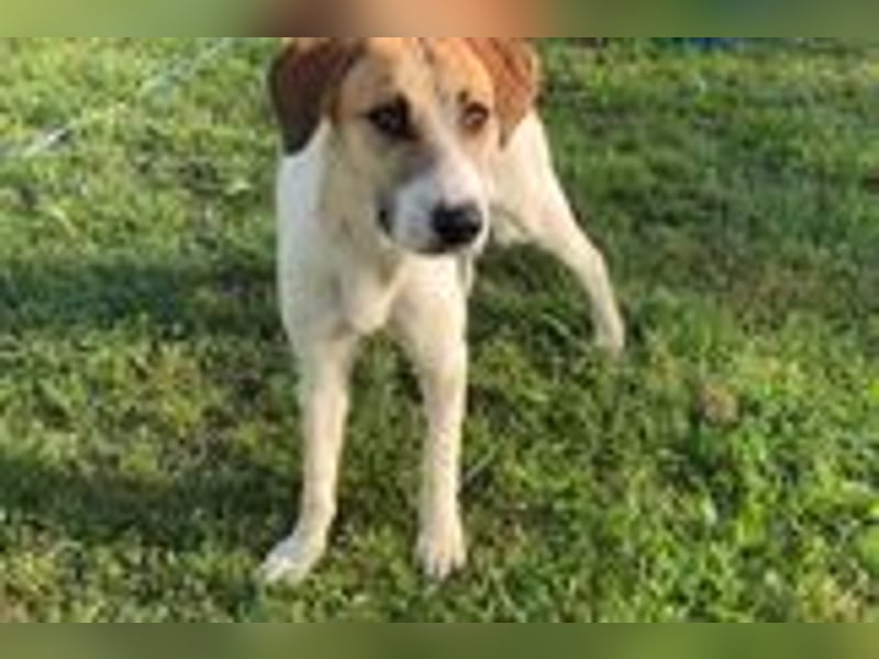 Donna - sucht sportliche Familie