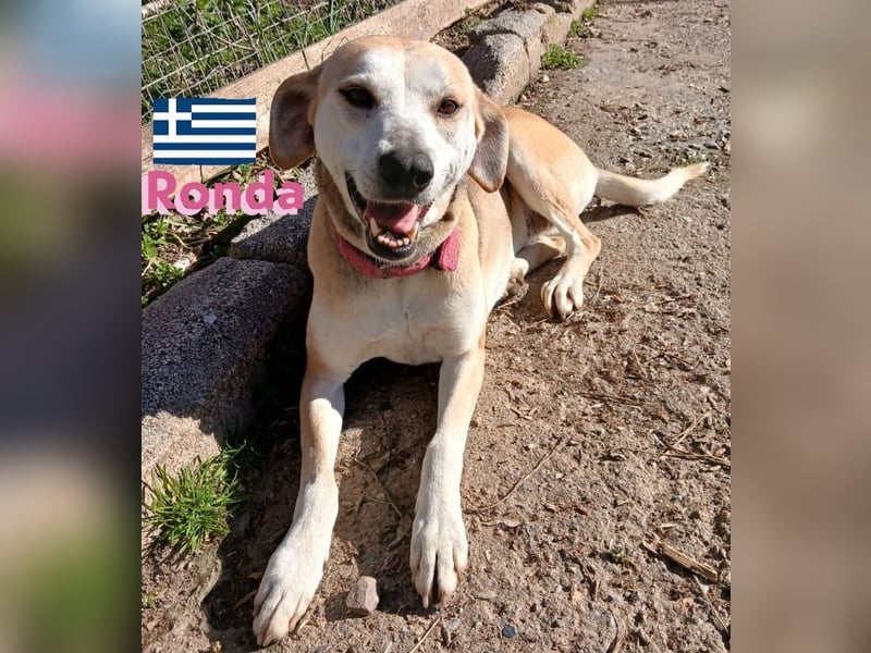 Ronda - ruhig und sensibel