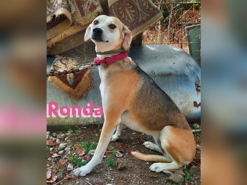 Ronda - ruhig und sensibel