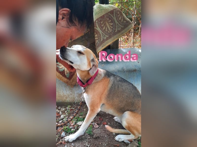 Ronda - ruhig und sensibel