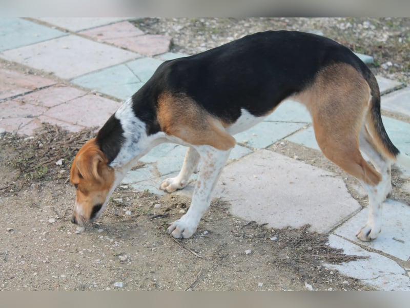 Lola, sehr menschenbezogen und sozial