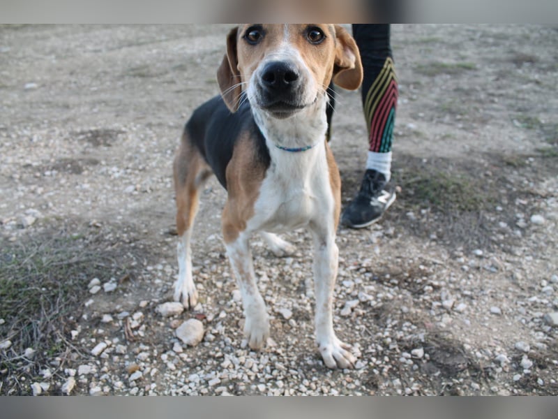 Lola, sehr menschenbezogen und sozial