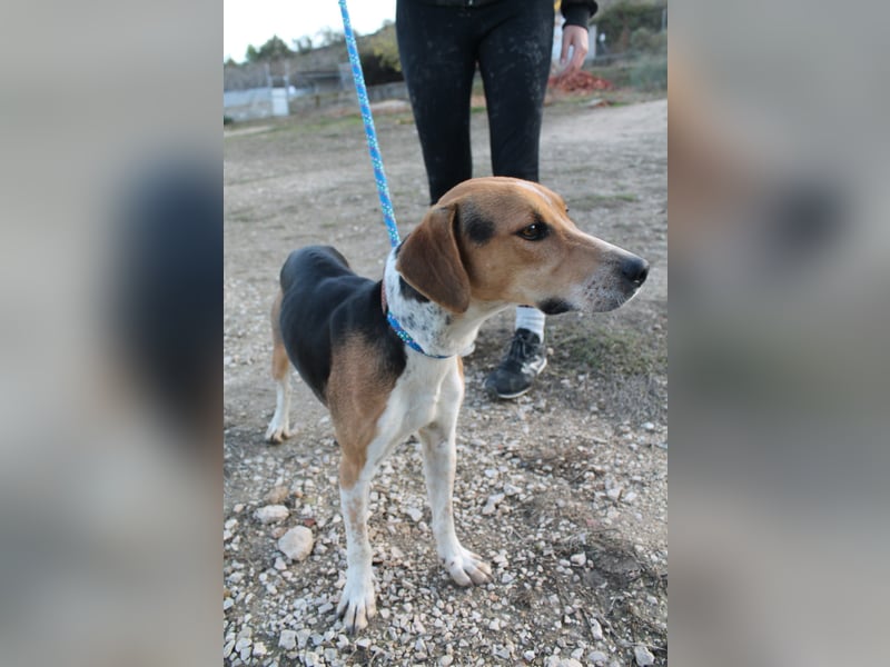 Lola, sehr menschenbezogen und sozial