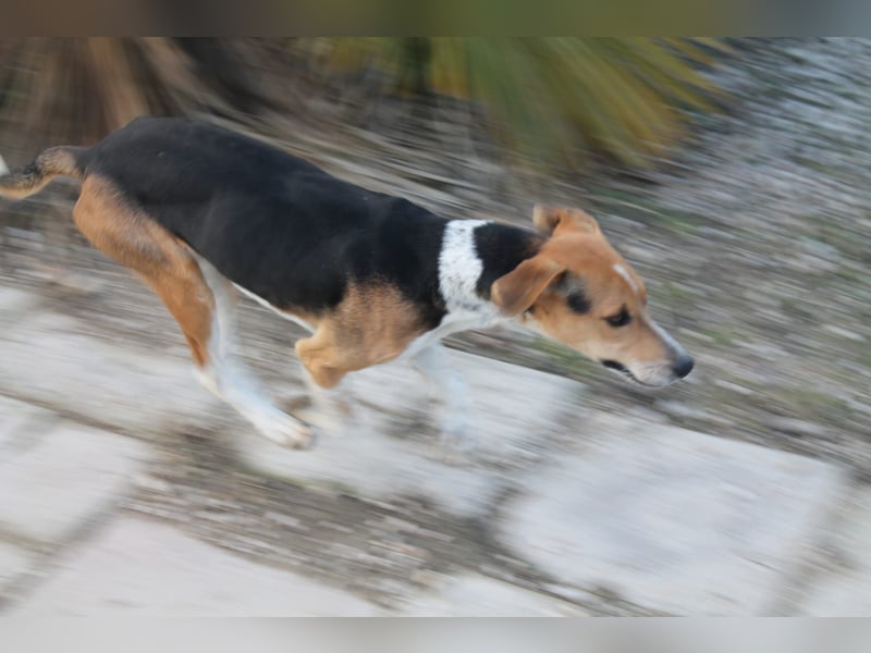 Lola, sehr menschenbezogen und sozial