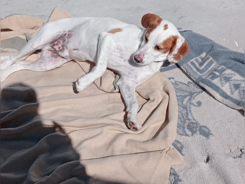 Rocky, wartet schon so lange