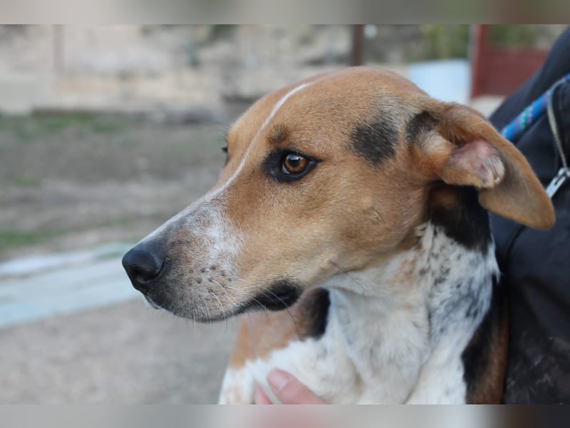 Lola, sehr menschenbezogen und sozial