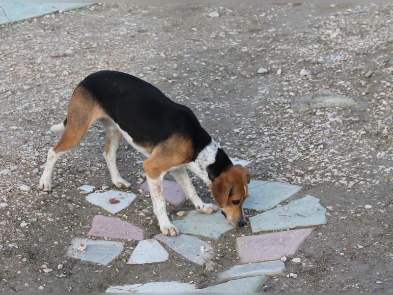 Lola, sehr menschenbezogen und sozial
