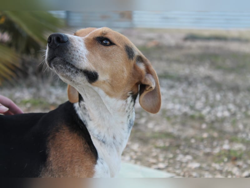 Lola, sehr menschenbezogen und sozial